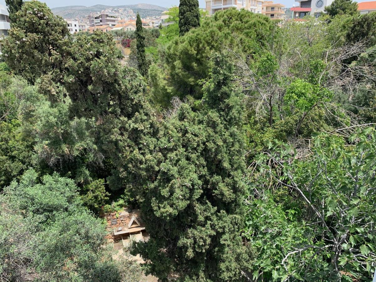 Apartment Oasis Exclusive @ Athenian Riviera *